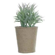 5.5"  Assorted Faux Succulent in Paper Pot